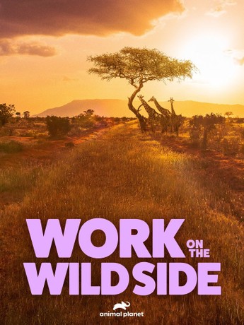 	Work on the Wild Side	